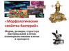 Морфологические свойства бактерий