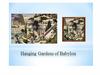 Hanging Gardens of Babylon