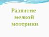 Развитие мелкой моторики