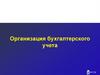 Организация бухгалтерского учета