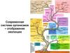 Современная система организмов - отображение эволюции