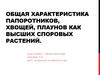 Общая характеристика папоротников, хвощей, плаунов как высших споровых растений