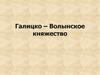 Галицко-Волынское княжество