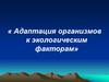 Адаптация организмов к экологическим факторам