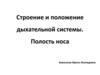 Строение и положение дыхательной системы. Полость носа