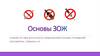 Основы ЗОЖ