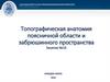 Топографическая анатомия поясничной области и забрюшинного пространства. Занятие №16