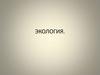 Тест "Экология"