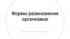 Формы размножения организмов