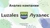 Анализ компании "Лузалес"