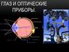 Глаз и оптические приборы