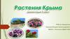 Растения Крыма. 5 класс