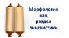Морфология как раздел лингвистики