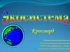 Экосистема  (кроссворд)