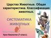 Царство Животные. Общая характеристика. Классификация животных