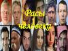 Расы человека