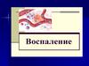 Воспаление. Острое (экссудативное воспаление)