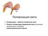 Поляризация света. Лекция 14