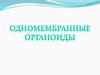 Одномембранные органоиды