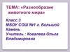 Разнообразие животного мира  (3 класс)