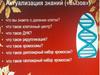Митоз. Процессы, происходящие в клетках в различных фазах митоза. 10 класс