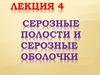 Серозные полости и серозные оболочки. Лекция 4