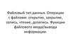 Файловый тип данных. Операции с файлами: открытие, закрытие, запись, чтение, дозапись