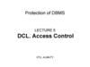 DCL. Access Control. Lecture 5