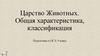 Царство Животных. Общая характеристика, классификация. Подготовка к ОГЭ, 9 класс