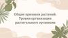 Общие признаки растений. Уровни организации растительного организма