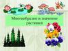 Многообразие и значение растений