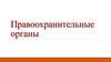 Правоохранительные органы