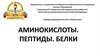 Аминокислоты. Пептиды. Белки