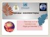 Породы - коллекторы  (лекция 2)
