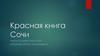 Красная книга Сочи