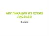 Аппликация из сухих листьев. 2 класс