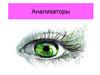 Анализаторы