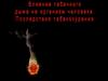 Влияние табачного дыма на организм человека. Последствия табакокурения