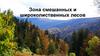 Зона смешанных и широколиственных лесов