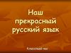 Наш прекрасный русский язык. Классный час