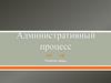 Административный процесс