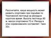 Простые механизмы. Рычаг. Условия равновесия. Момент сил