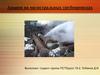 Аварии на магистральных трубопроводах