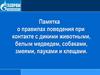 Памятка о правилах поведения при контакте с дикими животными, белым медведем, собаками, змеями, пауками и клещами