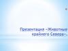 Животные крайнего Севера