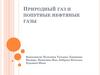 Природный газ и попутные нефтяные газы