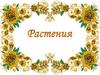 Растения. Загадки
