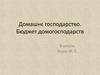 Домашнє господарство. Бюджет домогосподарств