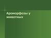 Ароморфозы у животных