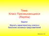 Класс Пресмыкающиеся (Reptilia)